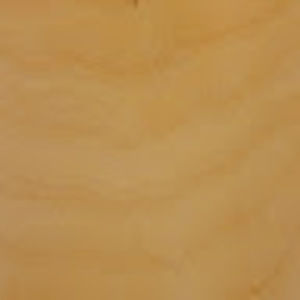 Meet your Posher, Tom